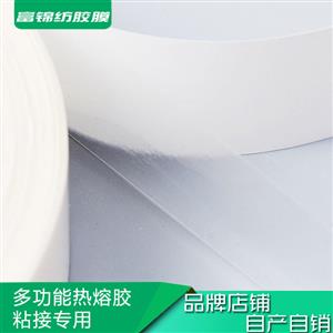 Custom 1cm paste hot melt tape EAA hot melt adhesive film PO adhesive embroidery embroidered hot embroidery